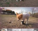 썸네일 이미지