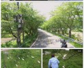썸네일 이미지