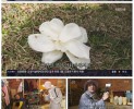 썸네일 이미지