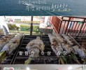 썸네일 이미지