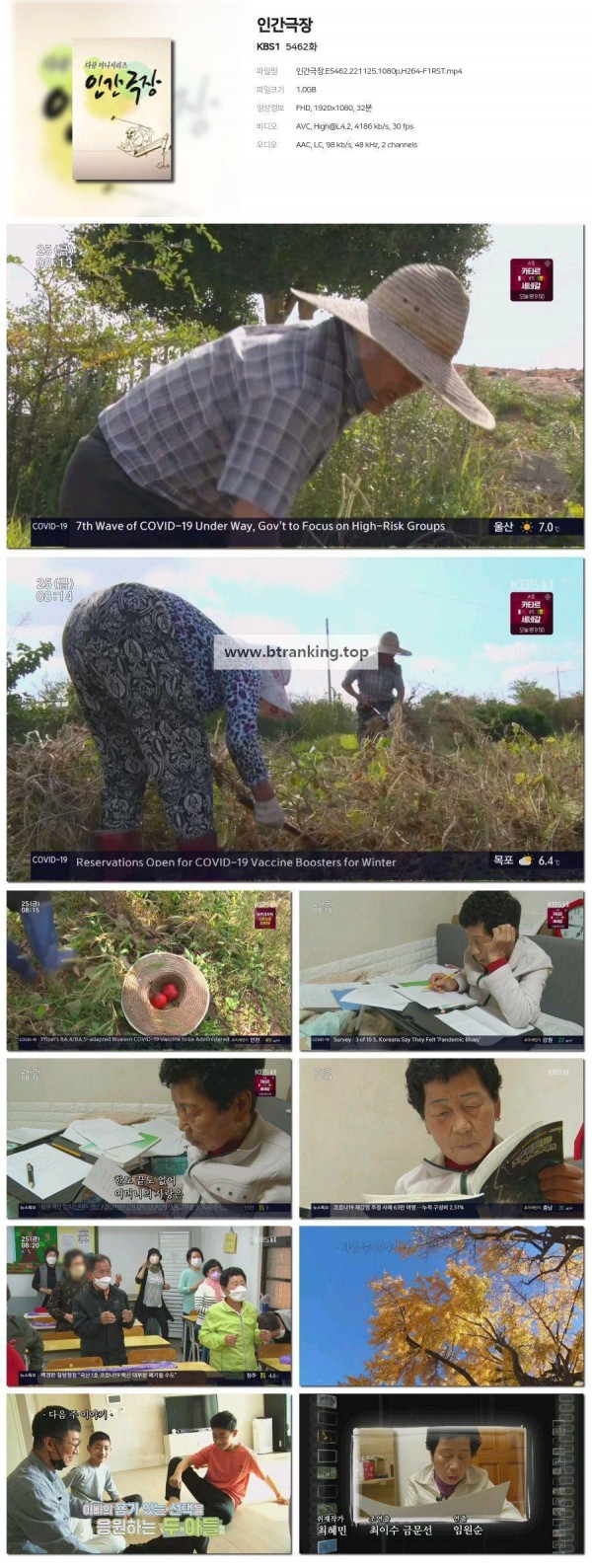 17503533313058.jpg