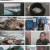 한국인의 밥상.E596.230216.720p.H264-F1RST