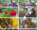 썸네일 이미지