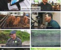 썸네일 이미지