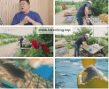 썸네일 이미지