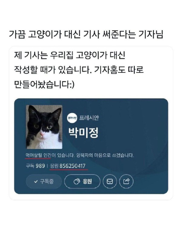 17473768911306.jpg