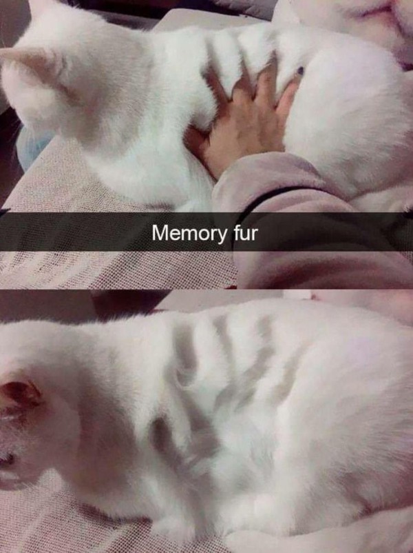 17492030474041.jpg