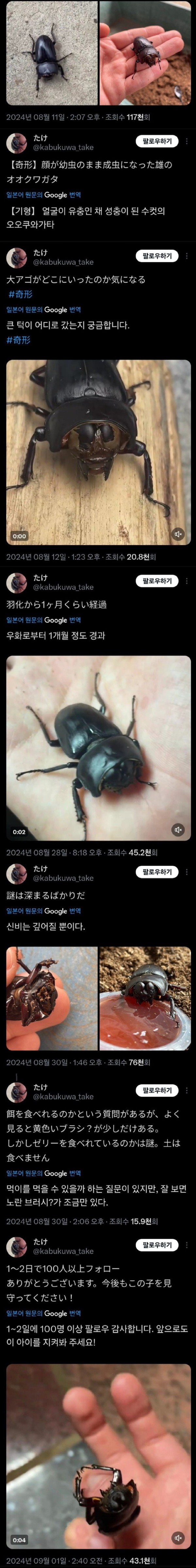 17503292697491.jpg