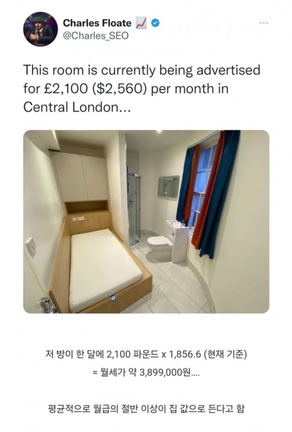 17503294508016.jpg