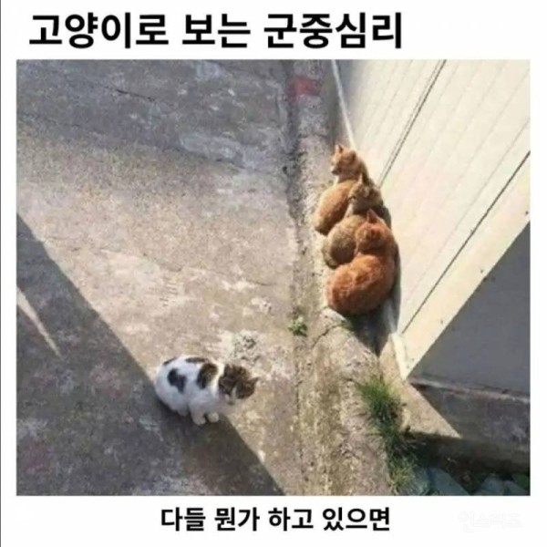 17504413585867.jpg