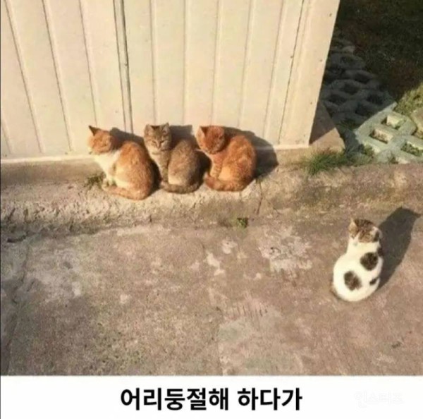 17504413597782.jpg