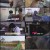 TV 동물농장 E969 720p