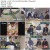 스타와 직거래 유랑마켓 E14 720p