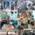 우리집 막내극장 E01 200521 720p