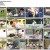 위대한 배태랑 E04_200622_1080p