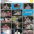프리한19_E214_200629_720p