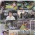 박장데소_E04_200704_720p