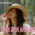 바퀴달린 집_E05-200709_720p