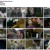 신비한 무술 사전_E03_200825_720p