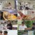 바퀴달린 집_E12-200827_720p