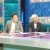 라디오스타.E695.201118.720p-NEXT
