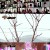 쇼미더머니 9.E10.201218.720p-NEXT