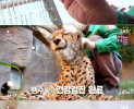 썸네일 이미지
