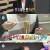 나 혼자 산다.E385.210226.720p-NEXT