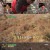 안싸우면 다행이야.E20.210301.720p-NEXT