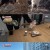 TV 동물농장.E1013.210321.720p-NEXT