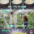 신상출시 편스토랑.E73.210402.720p-NEXT