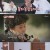 내 딸 하자.E02.210409.720p-NEXT