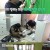 바꿔줘 홈즈.E02.210417.720p-NEXT