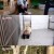 TV 동물농장.E1017.210418.720p-NEXT
