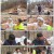 수미산장.E10.210422.720p-NEXT