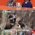 미운 우리 새끼.E239.210425.720p-NEXT