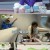 달려라 댕댕이.E08.210426.720p-NEXT