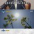 알쓸범잡.E04.210425.720p-NEXT
