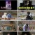 신서유기 스페셜 스프링 캠프 E02.210507.1080p.WEB-DL.x264.AAC-Deresisi