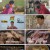 백종원의 사계 E06.210507.1080p.WEB-DL.x264.AAC-Deresisi
