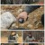 정글의 법칙 와일드 와일드 웨스트.E450.210515.1080p.H264-F1RST