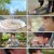 백종원의 사계 E08.210521.1080p.WEB-DL.x264.AAC-Deresisi