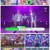 SBS 인기가요.E1094.210523.720p.H264-F1RST