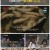 맛남의 광장.E76.210527.720p.H264-F1RST