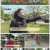 TV 동물농장.E1023.210530.720p.H264-F1RST