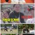 미운 우리 새끼.E244.210530.720p.H264-F1RST