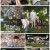 전국방방쿡쿡.E09.210605.720p.H264-F1RST