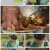 안싸우면 다행이야.E34.210607.720p.H264-F1RST