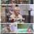 복면가왕.E311.210613.720p.H264-F1RST