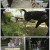 TV 동물농장.E1027.210627.720p.H264-F1RST